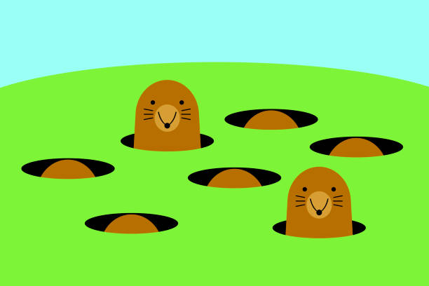 Whack A Mole Project